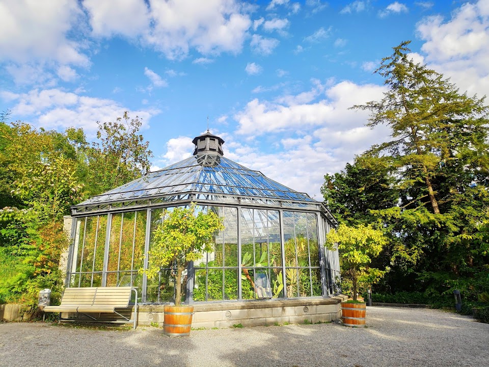 Old Botanical Garden