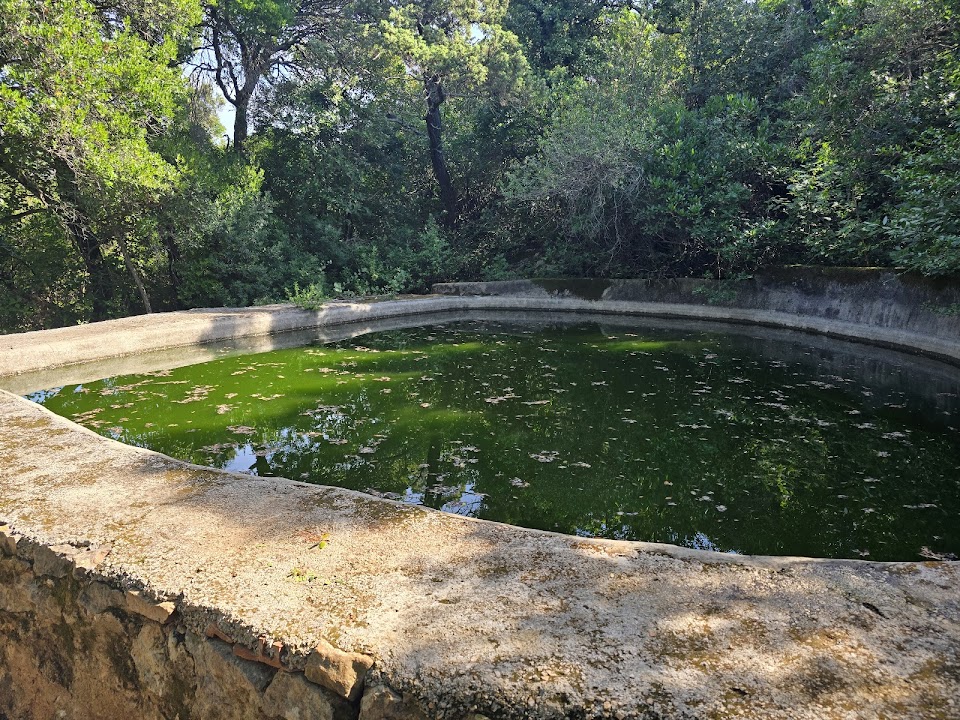 The Little Reservoir