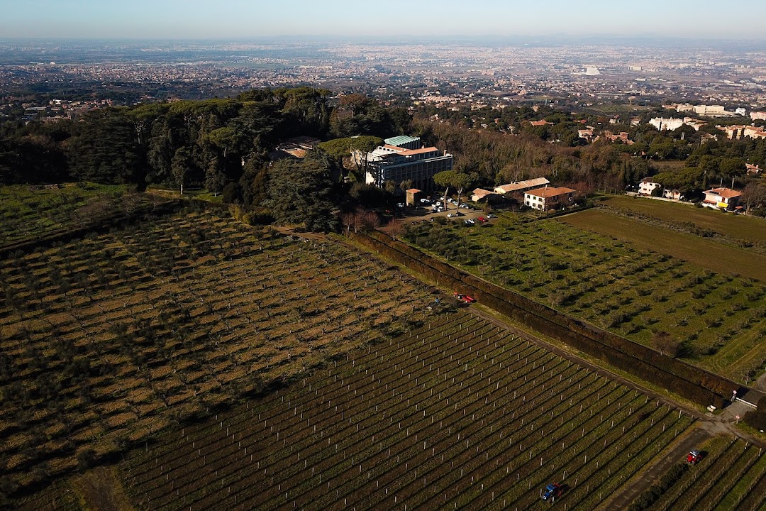 Villa Cavalletti