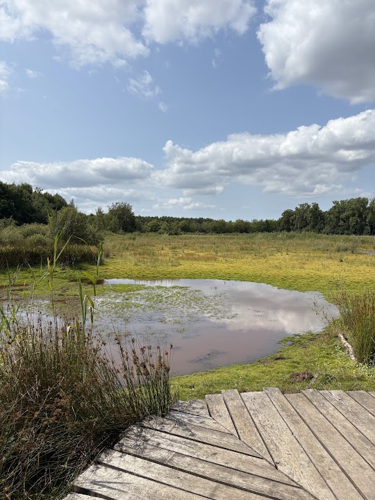 Provincial Domain Bulskampveld