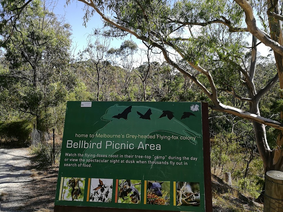 Bellbird Picnic Area