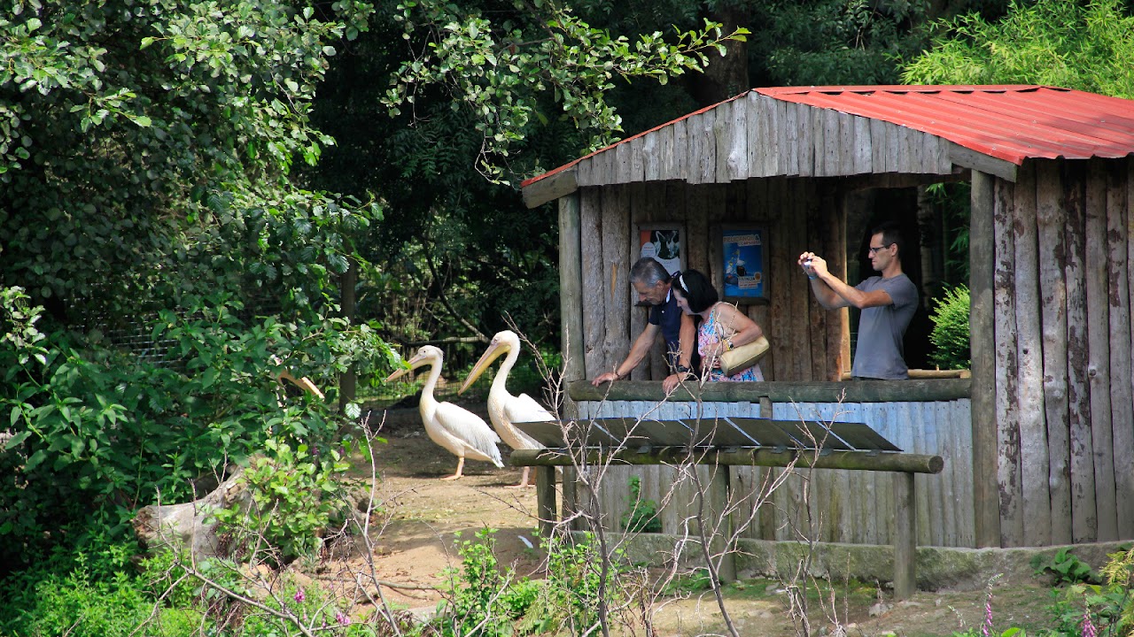 Zoo Lourosa
