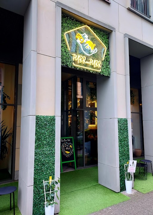 Restauracja Purr Purr (Kocia Strefa od 12 lat)