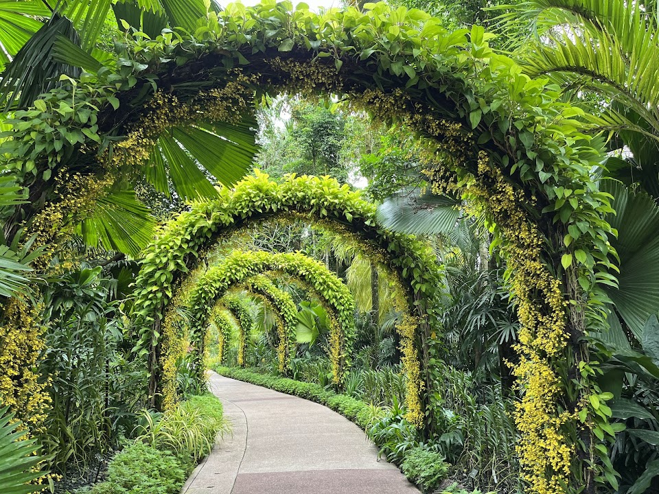 National Orchid Garden