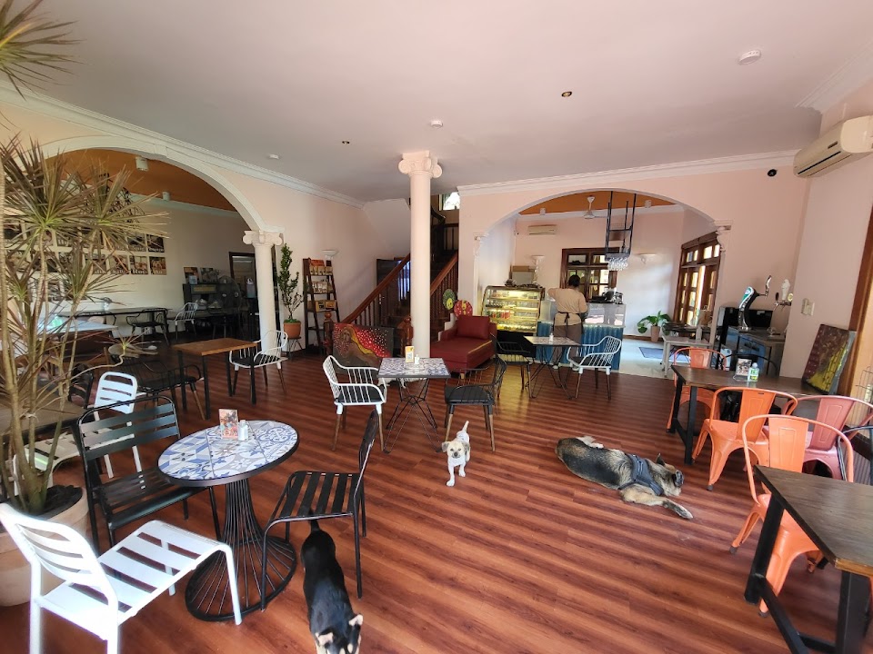 WagWel Rescue - Saigon