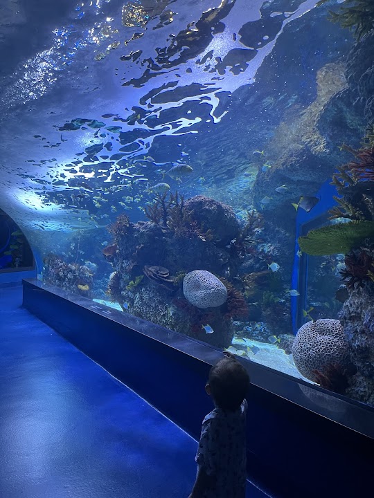 Ενυδρείο XPLORE Oceans