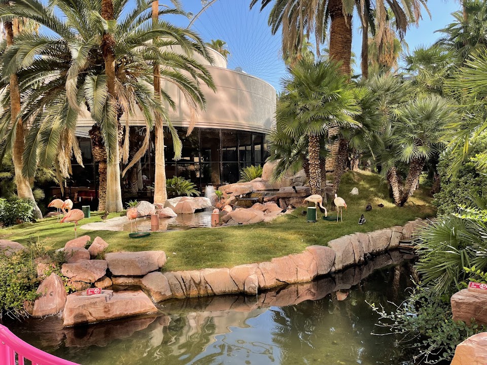 Flamingo Wildlife Habitat