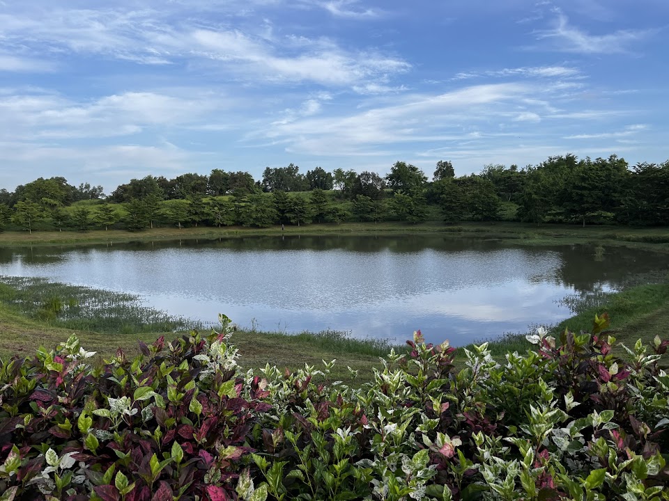 Lake Deltamas