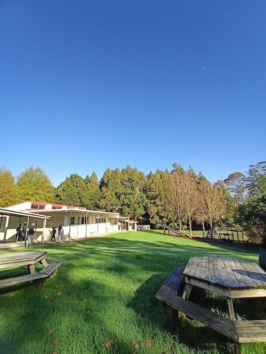 Hunua Falls Camp