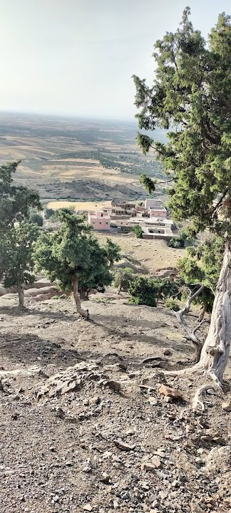 غابة إگروفلا