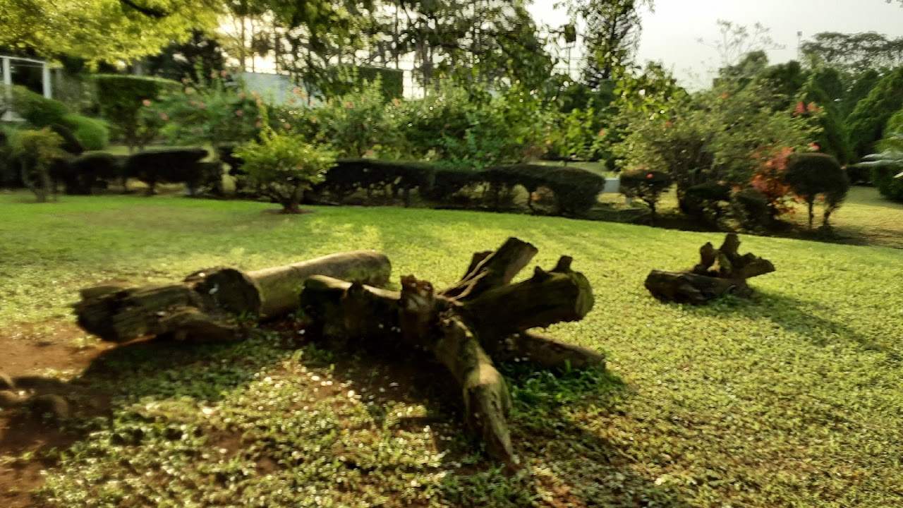 Jhalobia Landscaping Company and Botanical Garden in Lagos, Nigeria