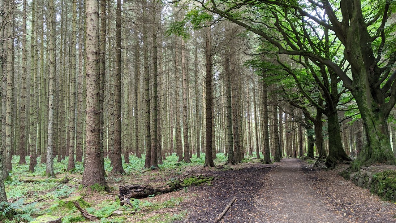 Beecraigs Country Park