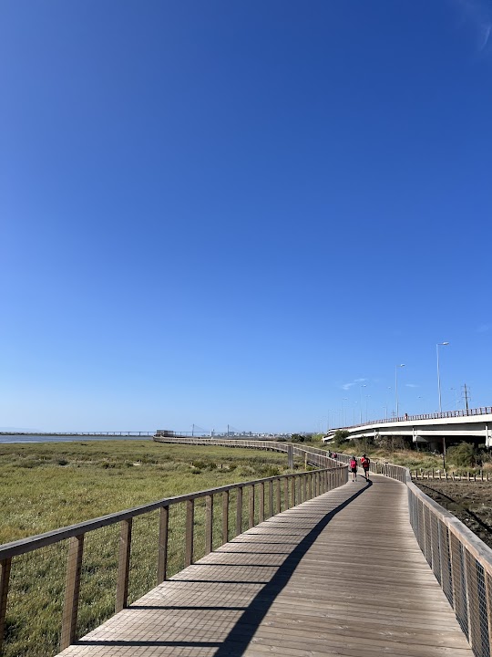 Trilho Ribeirinho Tejo