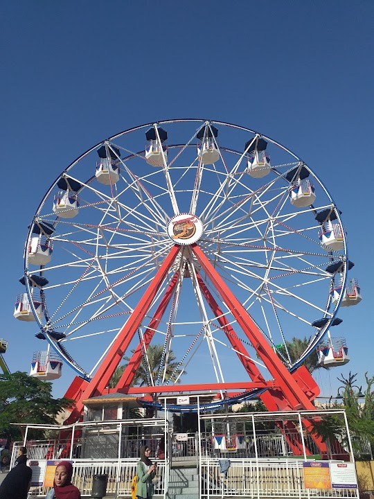 تايجر لاند (Tiger Land)