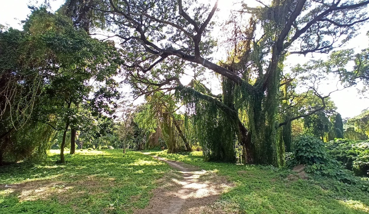 Almendares Park