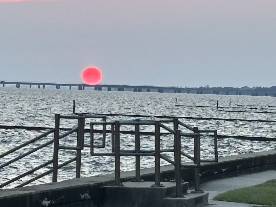 Mandeville Lakefront