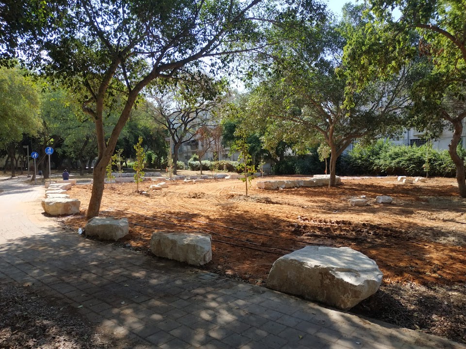 Yagur Urban Nature Site