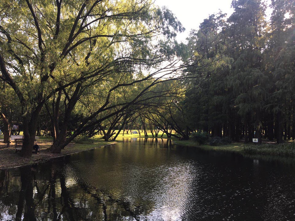 Gongqing Forest Park (West Gate 2)