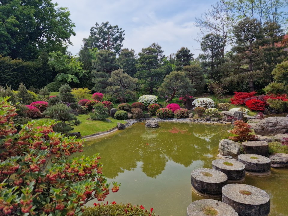 Japanischer Bonsaigarten