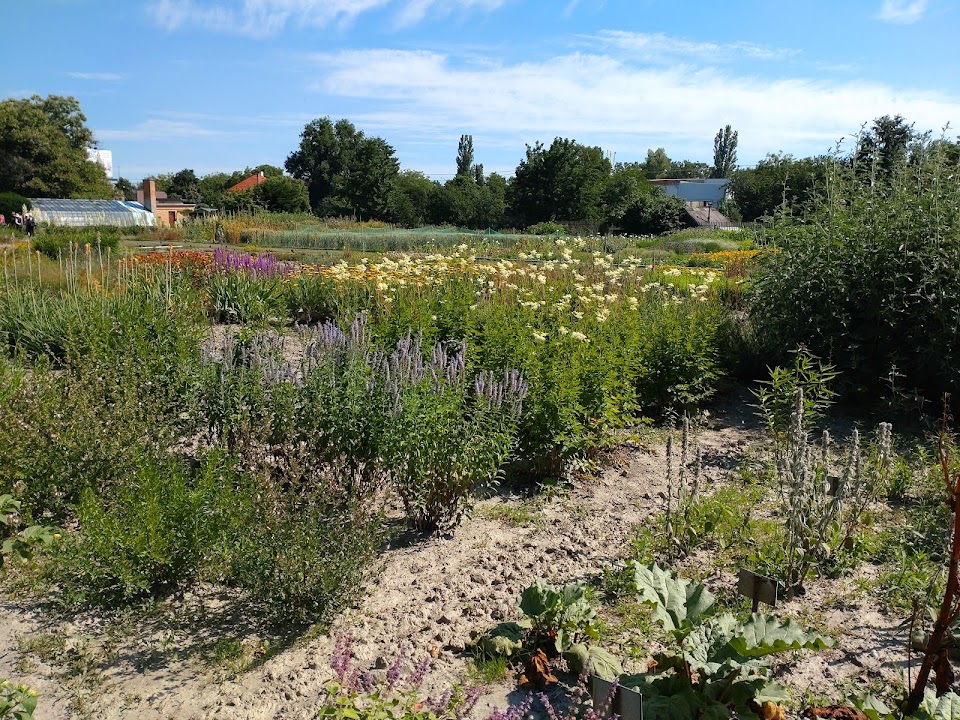 Slovak Pharmaceutical University Medicinal plants garden