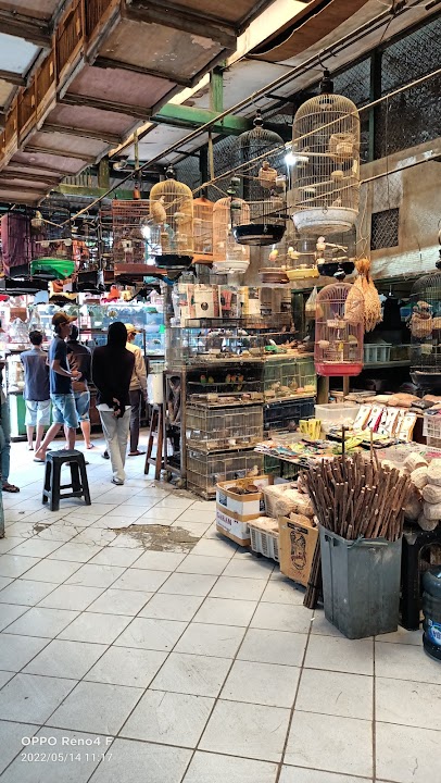 The Bird Market