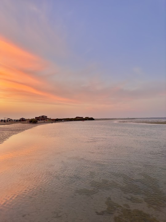 Mangrove Beach