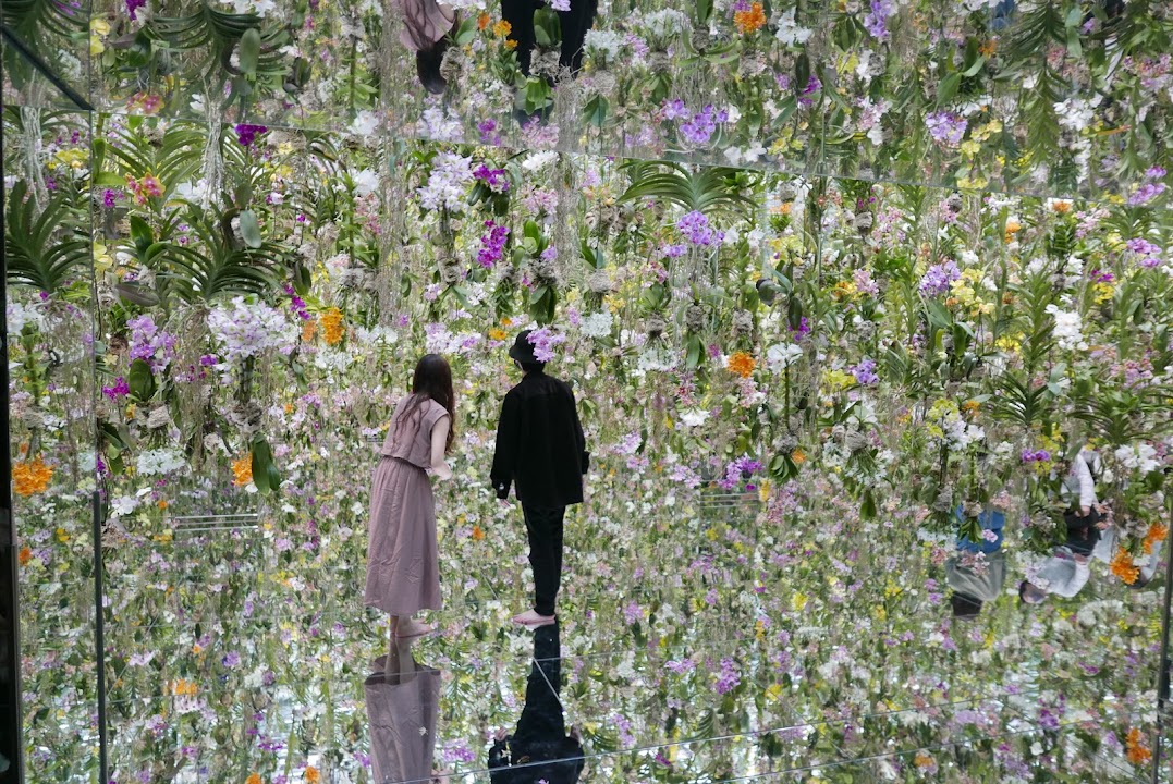teamLab Planets TOKYO DMM — Tokyo experience