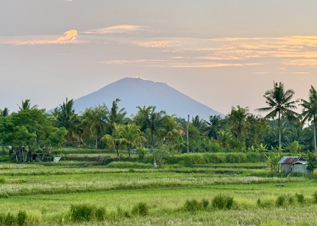 Sari Organic Walk