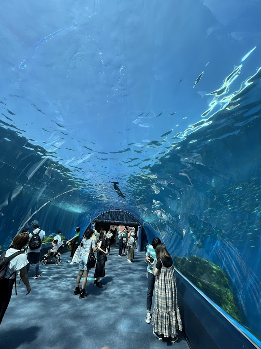 Yokohama Hakkeijima Sea Paradise