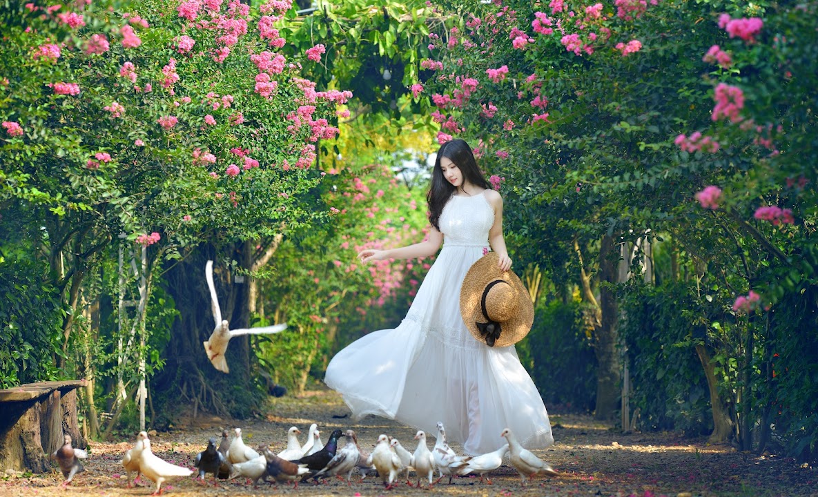Công viên thực vật cảnh Việt Nam