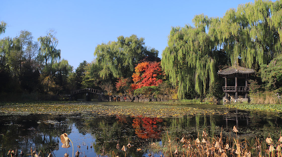 Byukchoji Gardens