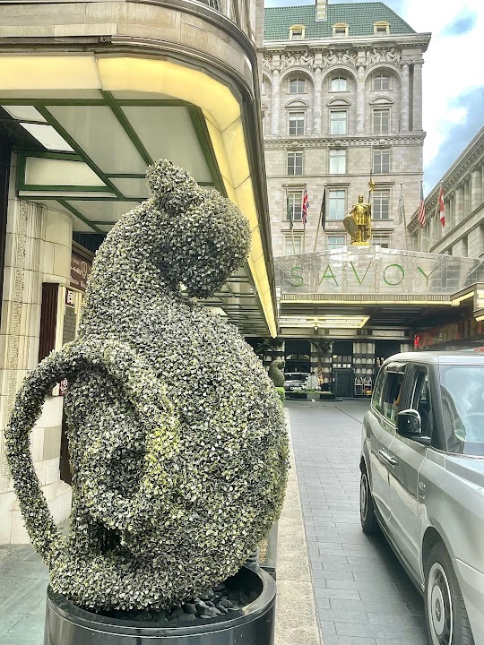 The Savoy
