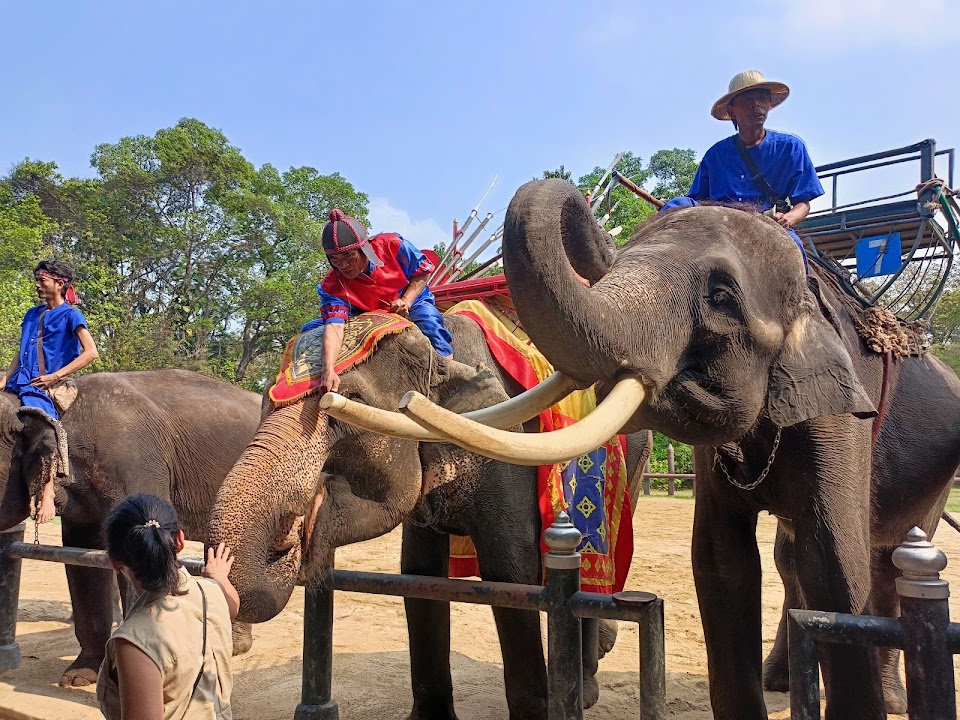 Sam Phran Elephant Ground and Zoo