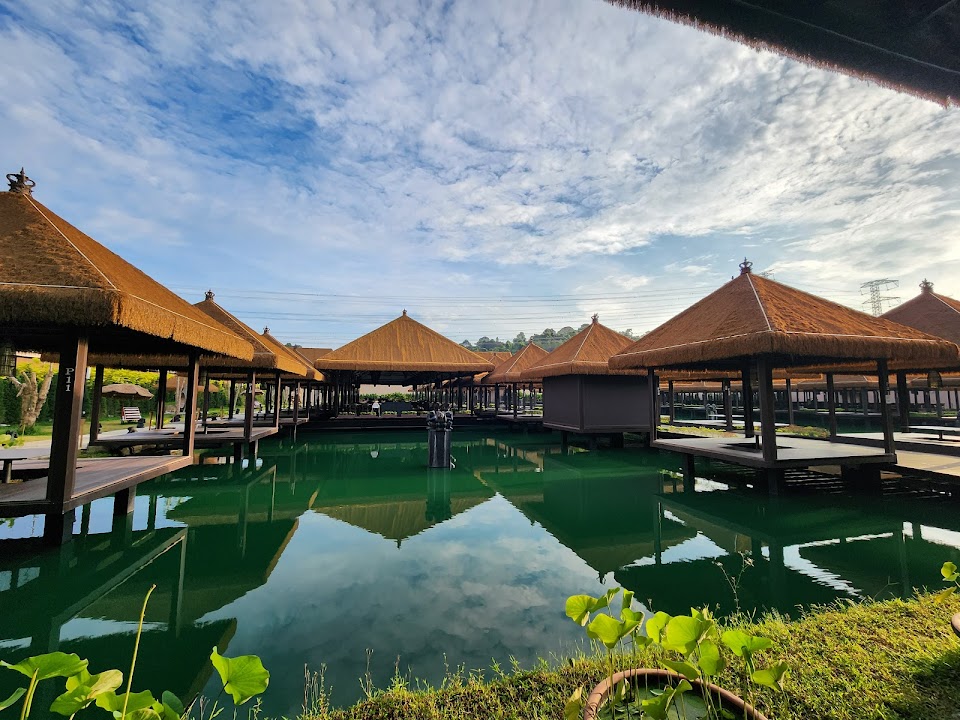Monkeys Canopy Resort