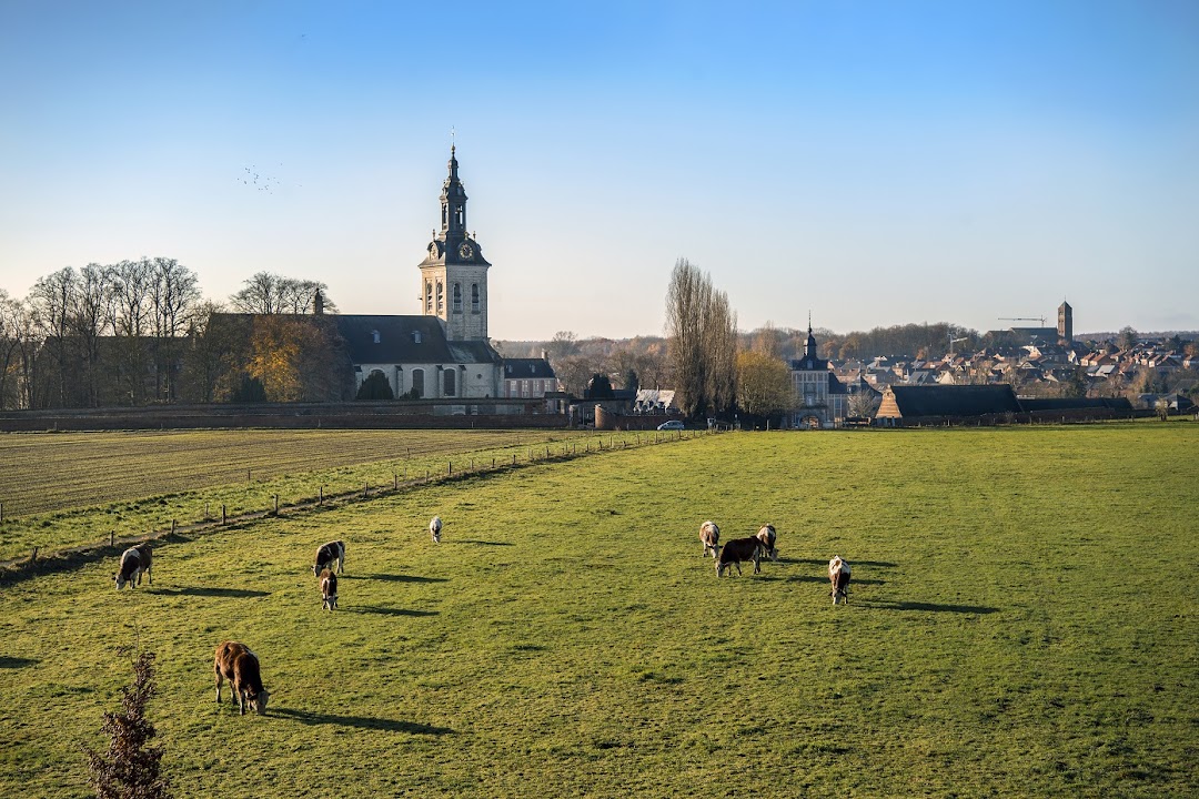Park Abbey