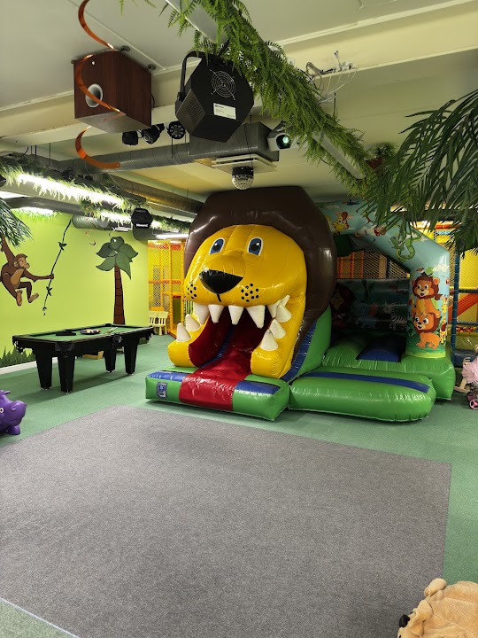 Amazona Playroom