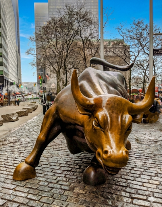 Charging Bull
