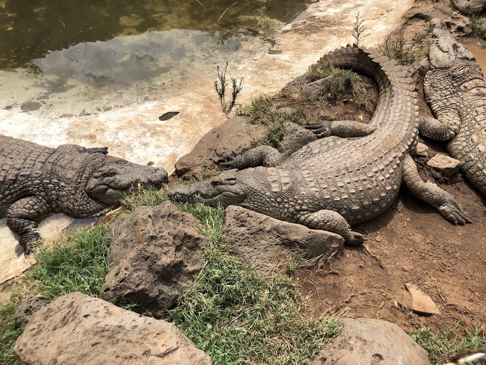 Nairobi Mamba Village