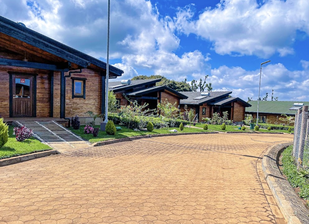 Ridge Cabin Resort