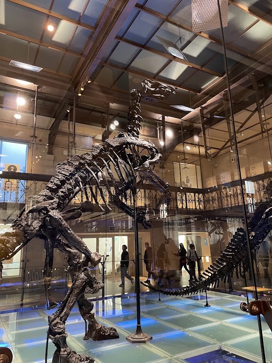 Royal Belgian institute of Natural Sciences
