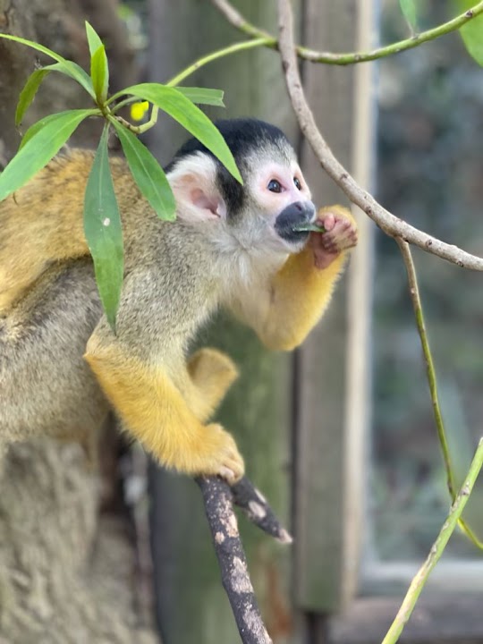 World of Birds Wildlife Sanctuary & Monkey Park