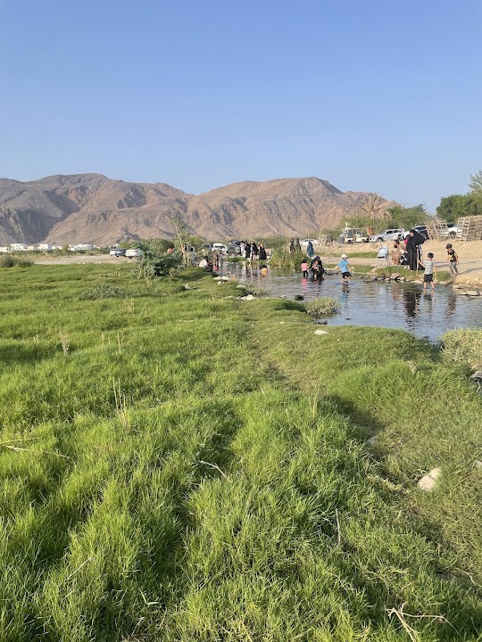بحيرة الدقل