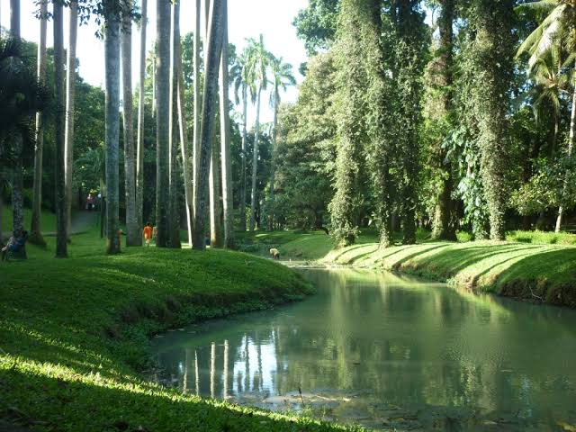 Taman Langsat