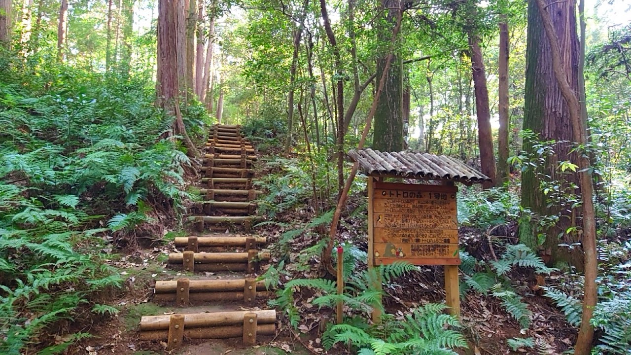 Totoro’s Forest No. 1