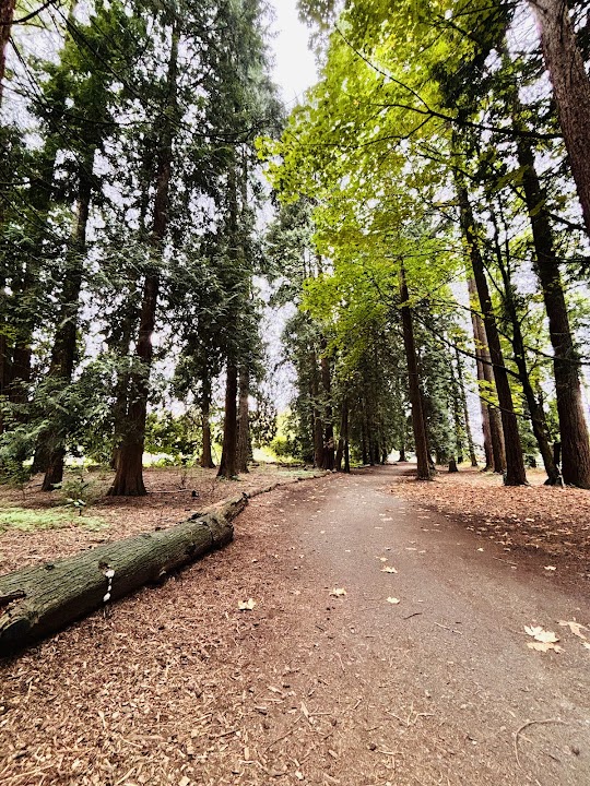 Queen's Park Picnic Shelter #1