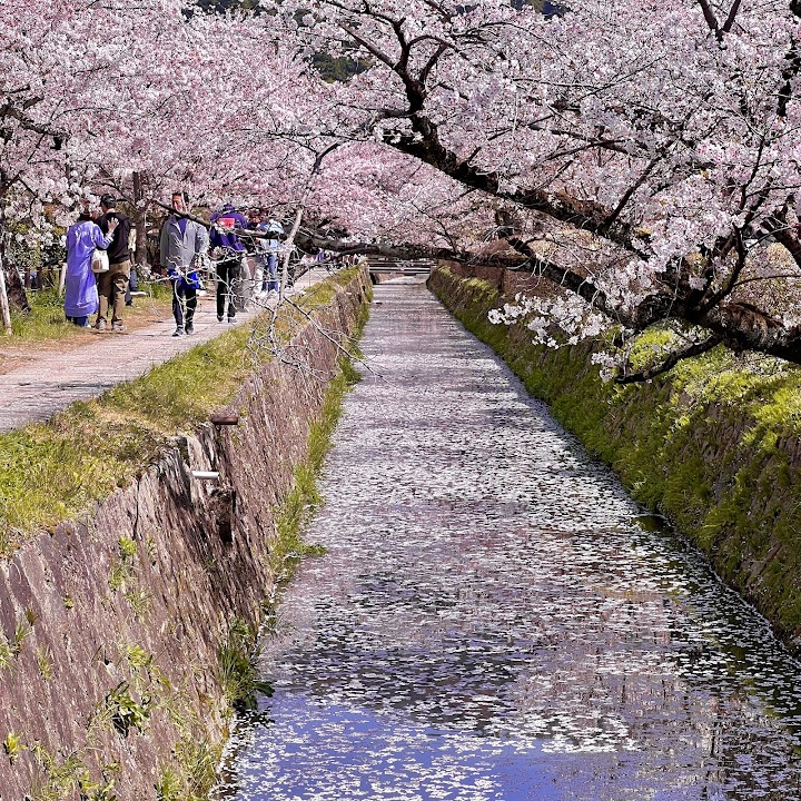 Philosopher's Path (Tetsugaku no Michi), North End