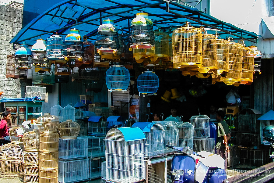 Satria Bird Market