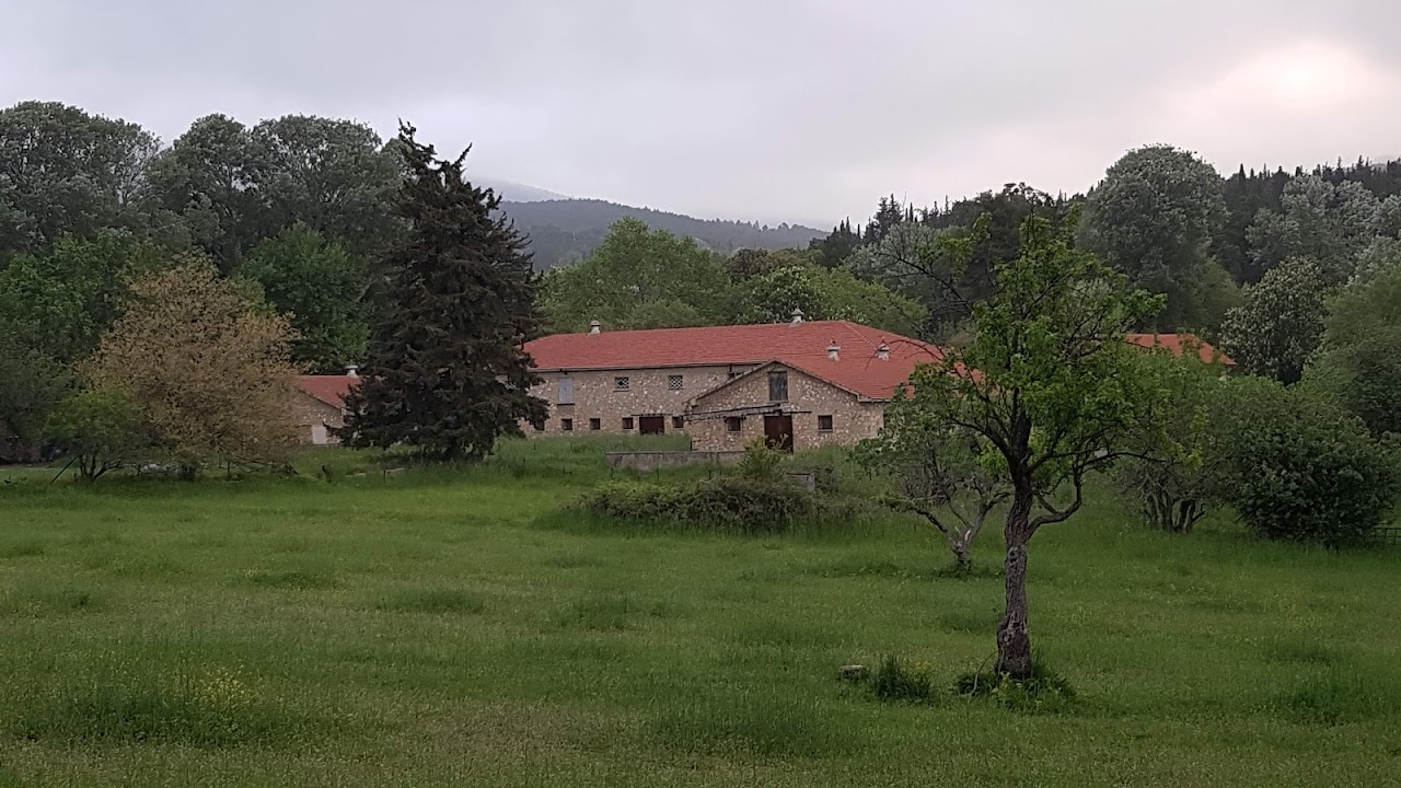 Tatoi Forest — Athens experience