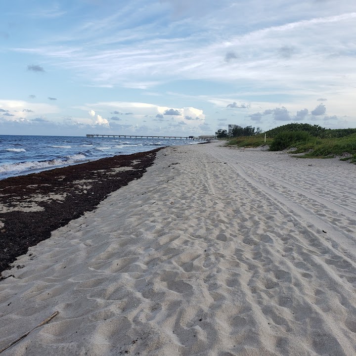 Dr. Von D. Mizell-Eula Johnson State Park