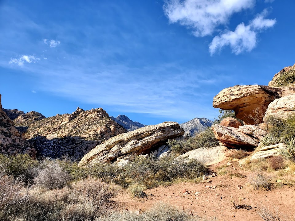 Willow Springs Picnic Area